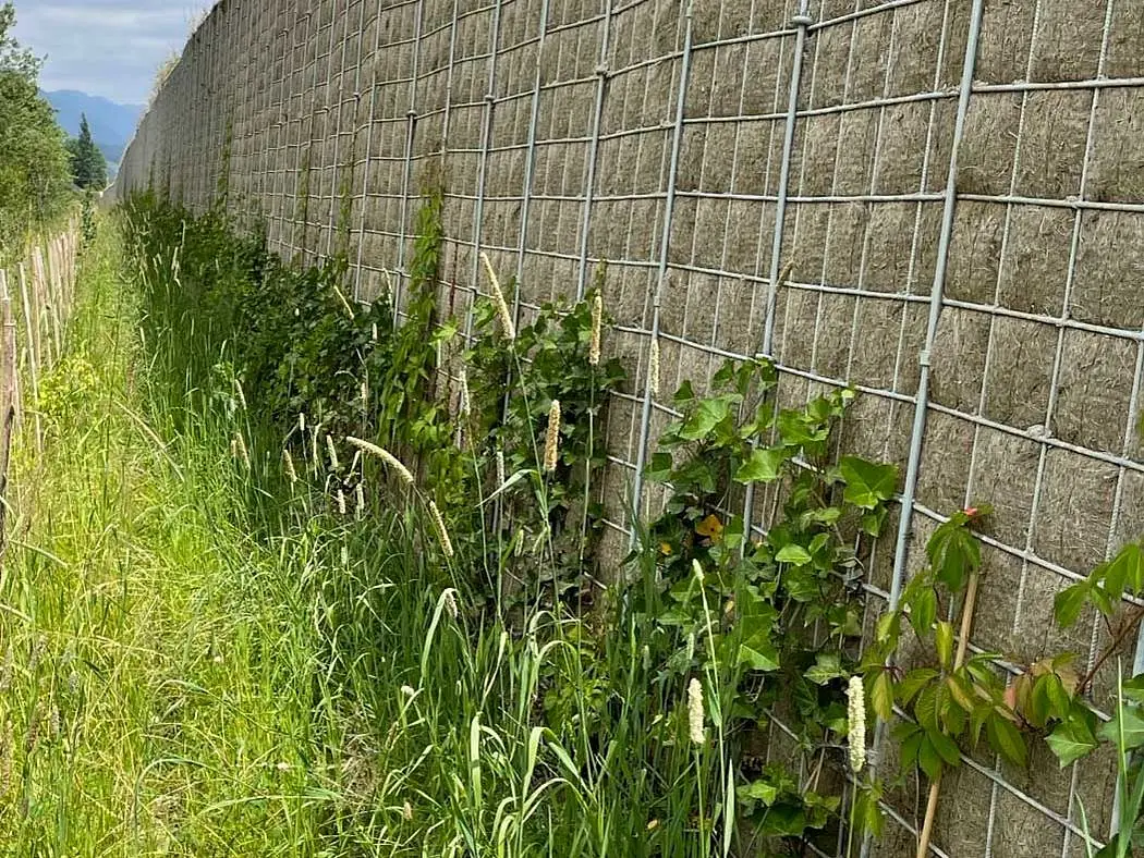 Begrünung von Lärmschutzobjekten