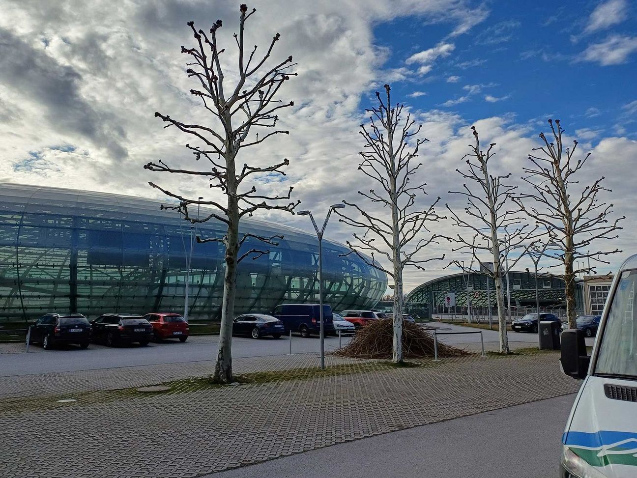 Baumschnittarbeiten vorm Hangar 7
