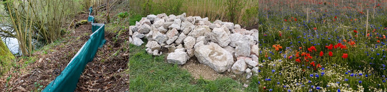Artenschutzmaßnahmen wie Amphibienschutzzäune, Steinhaufen und Bienenwiesen