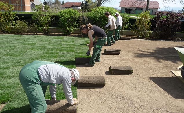 Slide Danner Landschaftsbau, Gartenbau, Maccaferri, Dekorrasen, Hochlagen, Kokosgewebe, Bepflanzung, 3 D Krismer Gitter, Gitter, Fertigrasen, Weidenverbau und Renaturierung, Aufspritzbegrünung