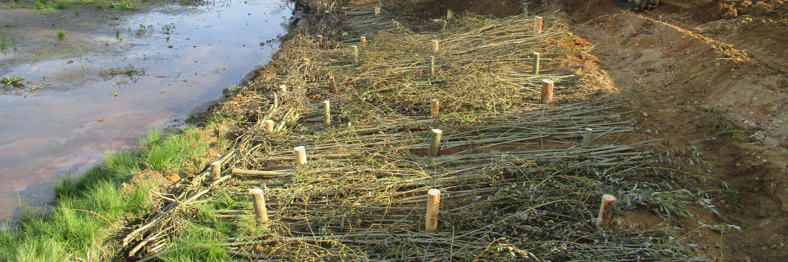 Weidenverbau und roter Bagger