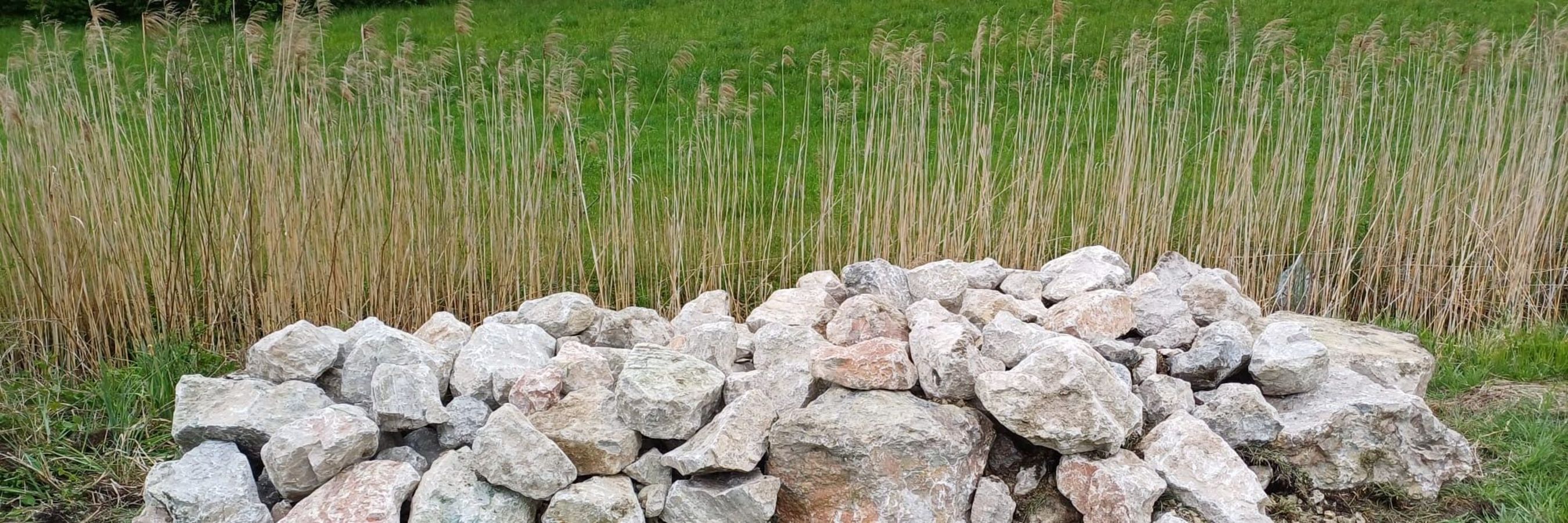 Steinhaufen für für Reptilien und Insekten im Hintergrund Gräser