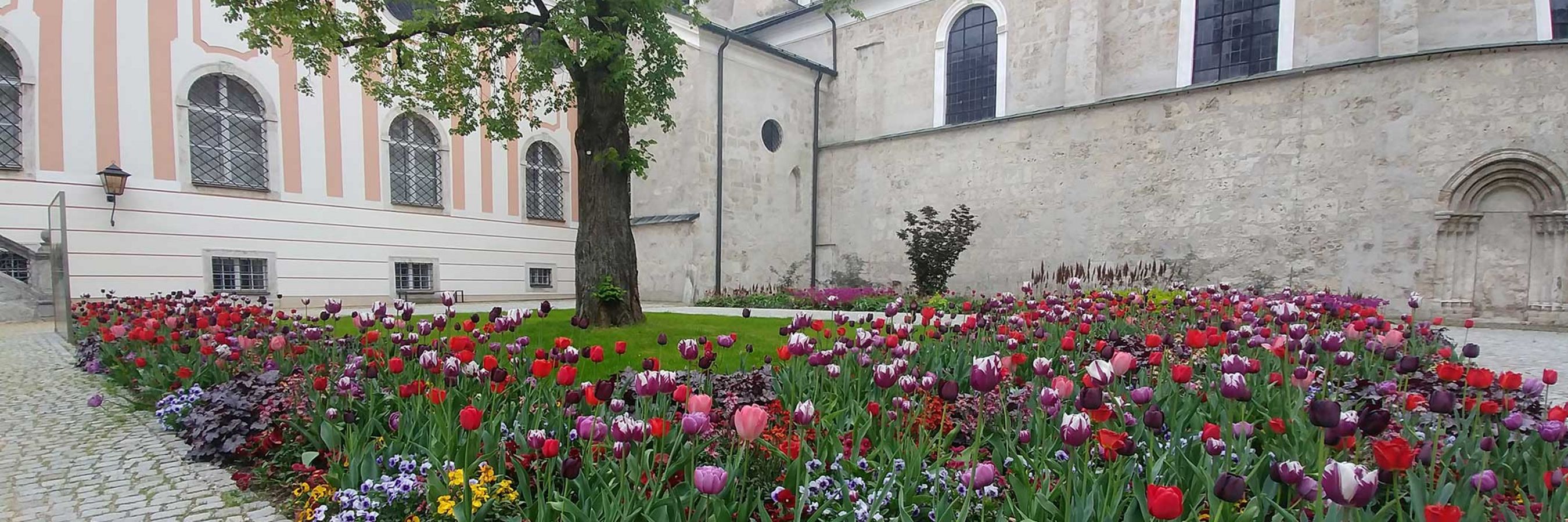 Tulpenmeer vor einer Kirche