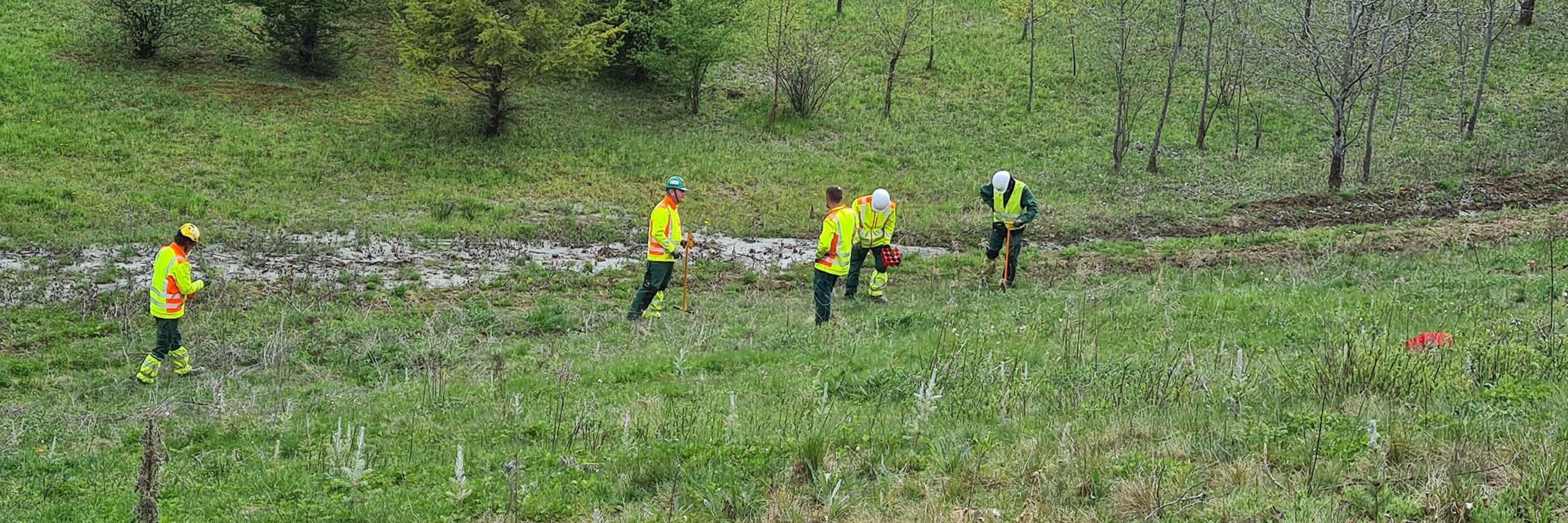 Fünf Arbeiter von Danner Landschaftsbau bei Aufforstungsarbeiten in Retznei