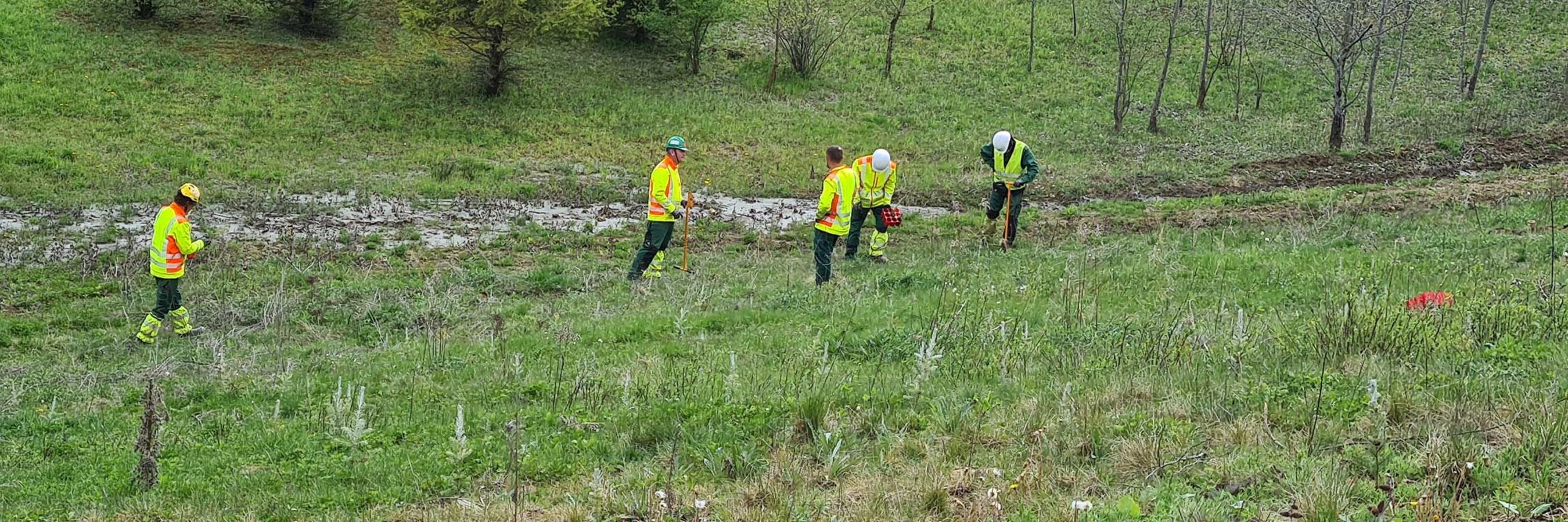 Fünf Arbeiter von Danner Landschaftsbau bei Aufforstungsarbeiten in Retznei