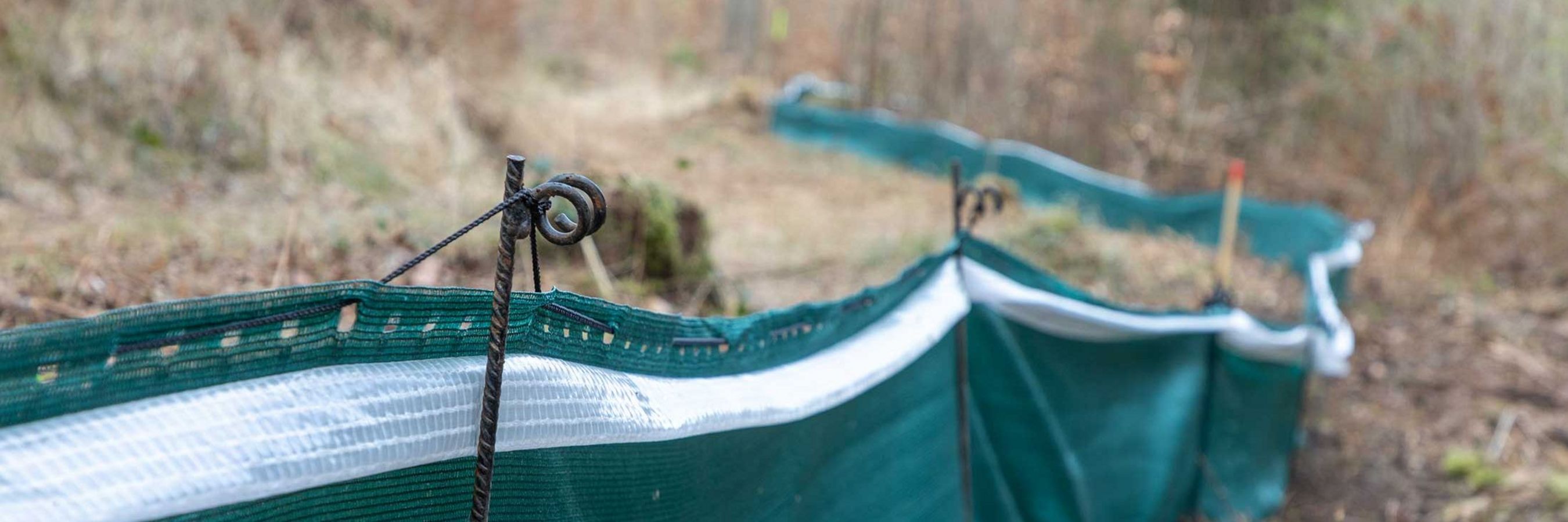 Amphibienschutzzaun im Wald