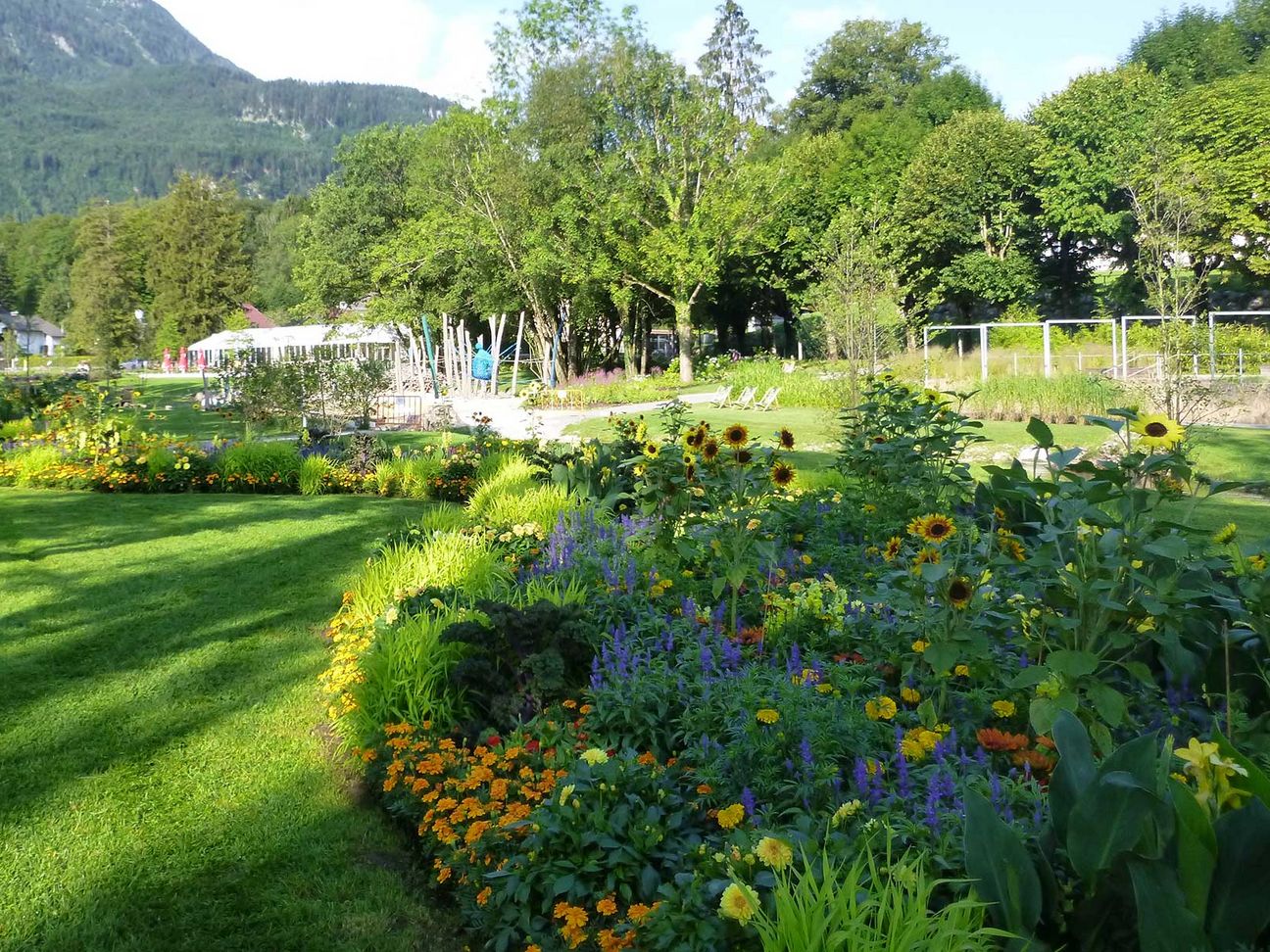 Ein gepflegte Grünraum im öffentlichen Bereich der Kaiser Franz Josef Park.