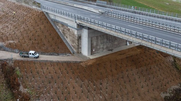 Rekultivierung, Bepflanzung und Böschungssicherung bei der Aurachbrücke durch Danner Landschaftsbau