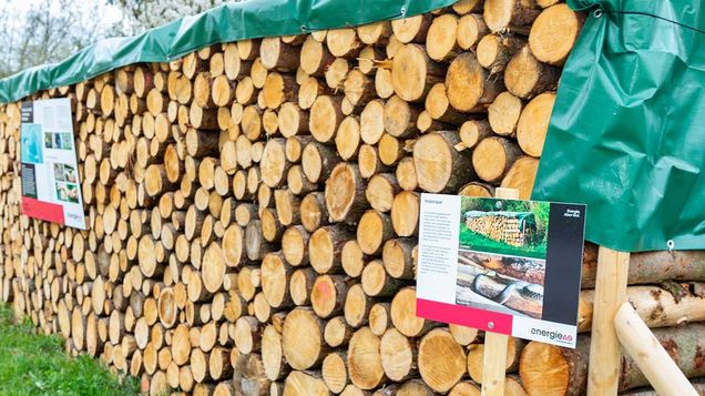 Mit Planen abgedeckter Holzstapel. Er dient als Versteck, Ruhe- und Häutungsplätze für Reptilien.