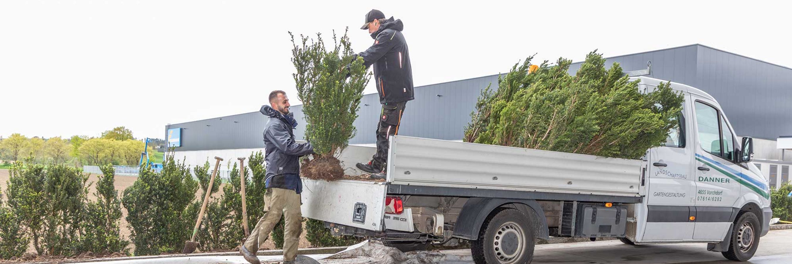Baumbepflanzung  bei der Firmenzentrale