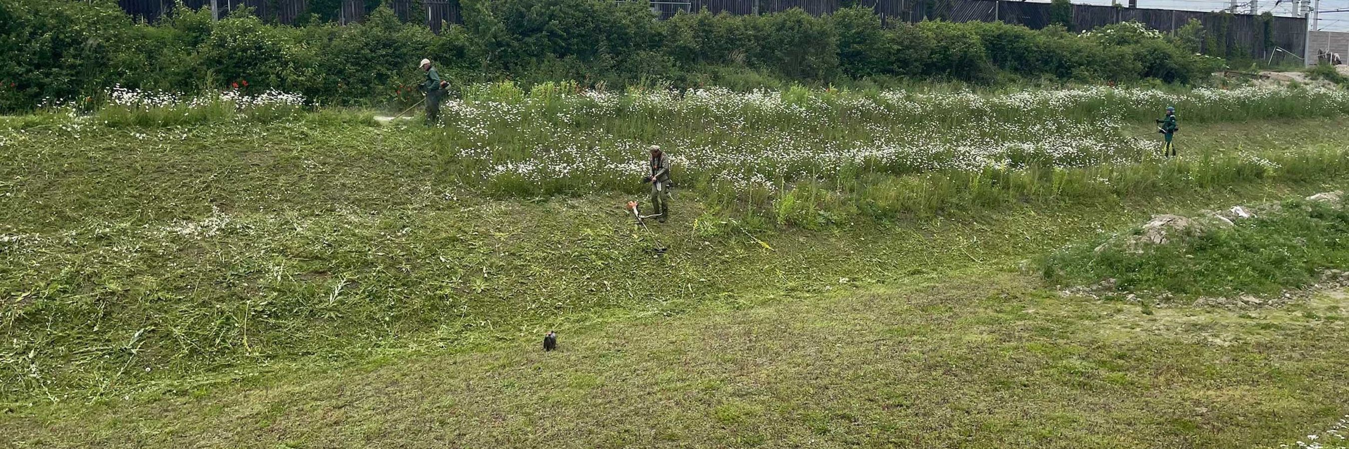 Mäharbeiten durch 3 Landschaftsökologen von Danner Landschaftsbau