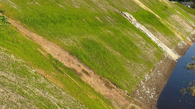 Begrünungserfolg Sickerbeckenböschung
