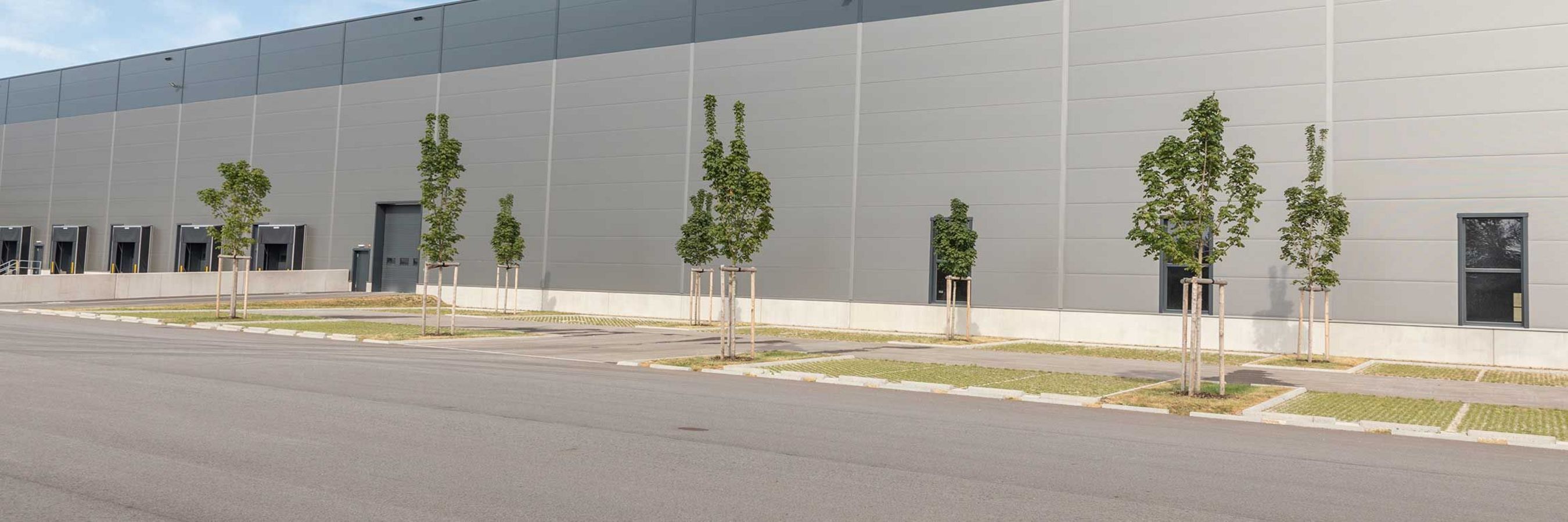 Großbäume verschönen den Parkplatz vorm Wirtschaftspark