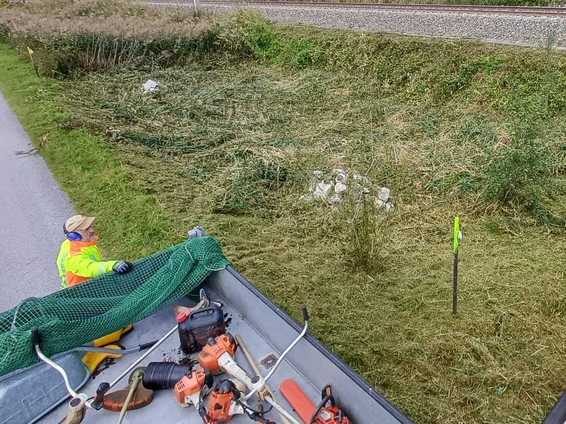 Zurückschneiden invasiver Pflanzenarten mit geeignetem Werkzeug durch Danner Landschaftsbau.
