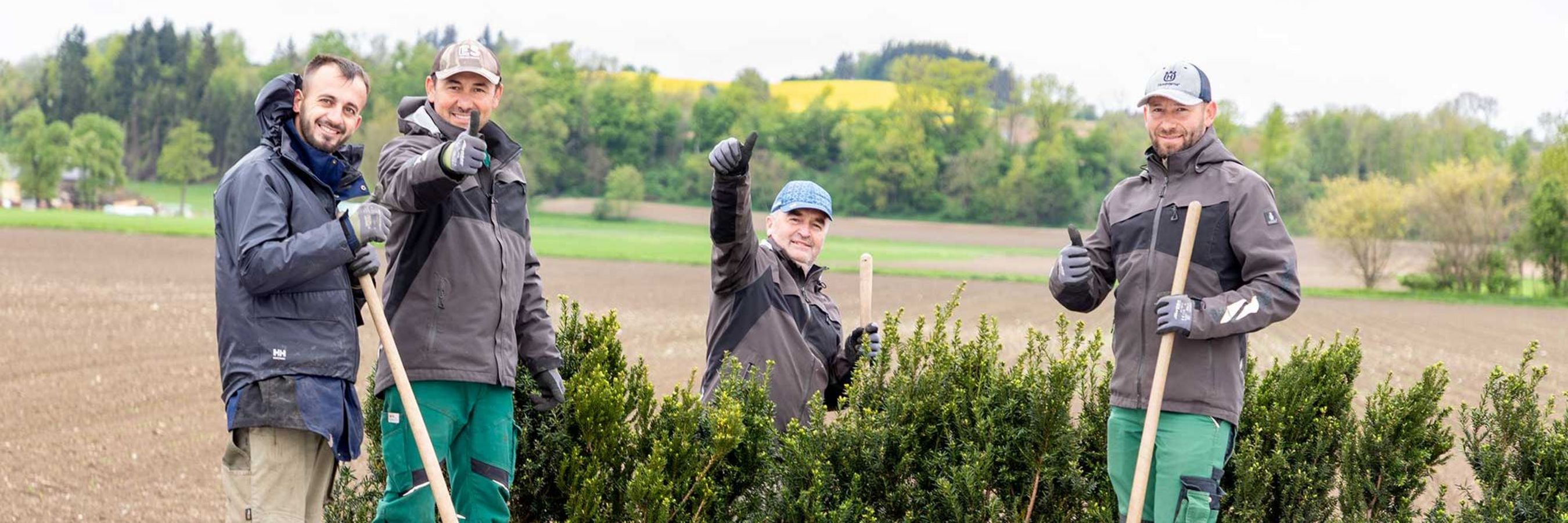 Baumbepflanzung bei der Firmenzentrale durch 4 Landschaftsgärtner