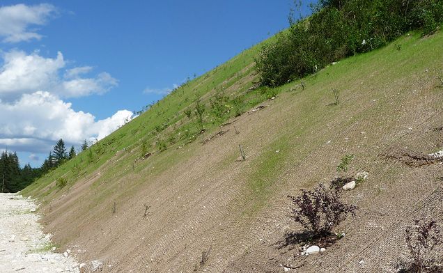 Slide Danner Landschaftsbau, Gartenbau, Maccaferri, Dekorrasen, Hochlagen, Kokosgewebe, Bepflanzung, 3 D Krismer Gitter, Gitter, Fertigrasen, Weidenverbau und Renaturierung, Aufspritzbegrünung